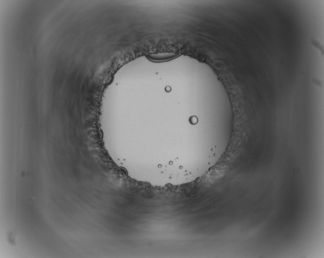 X0000103460192200809261849