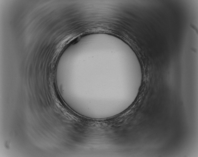 X0000103460193200809261848