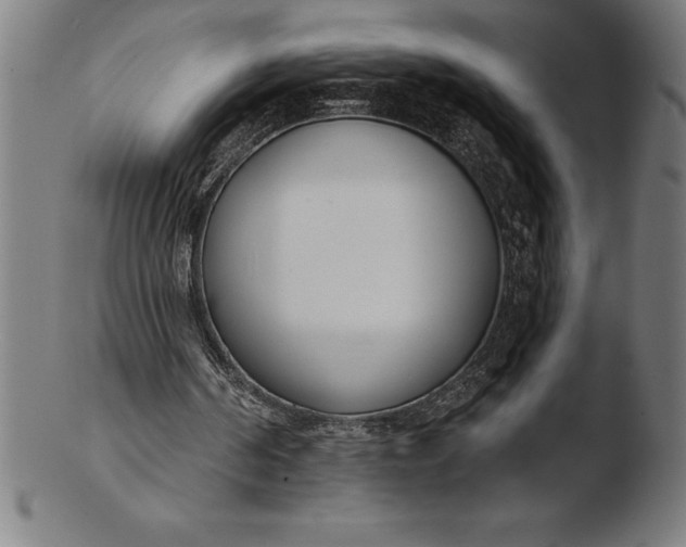 X0000103460194200809261848