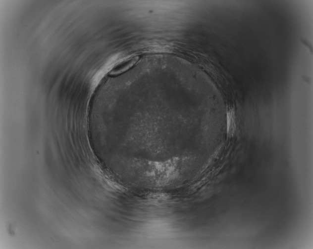 X0000103460195200809261848