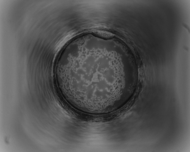 X0000103460196200809261848