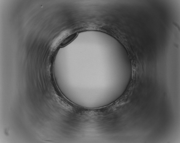 X0000103460197200809261848