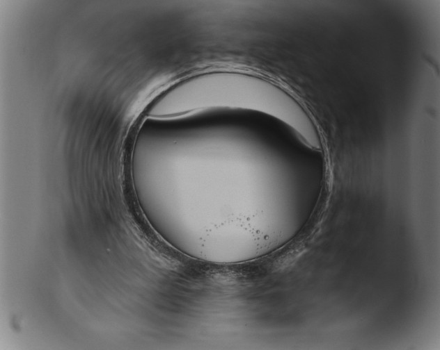 X0000103460199200809261848