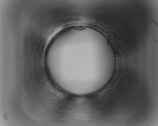 X0000103460200200809261848