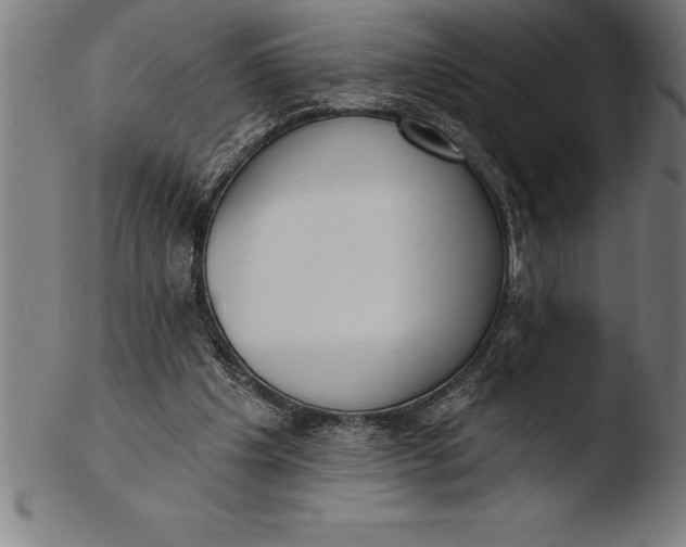 X0000103460201200809261848