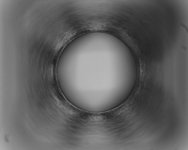 X0000103460202200809261848