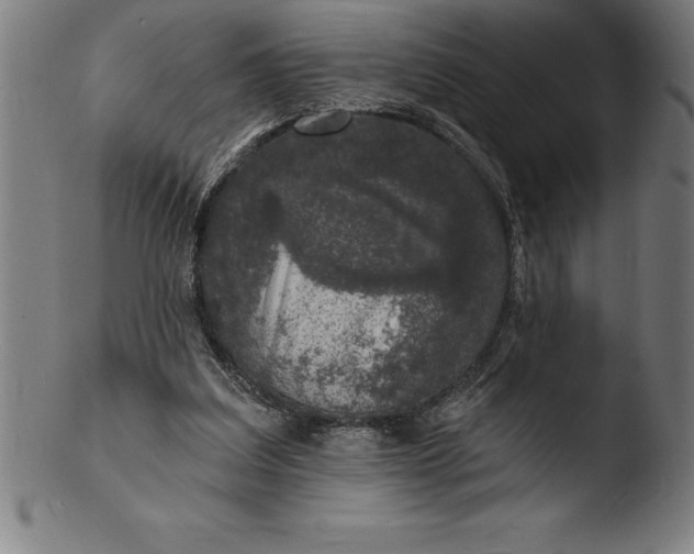 X0000103460203200809261848