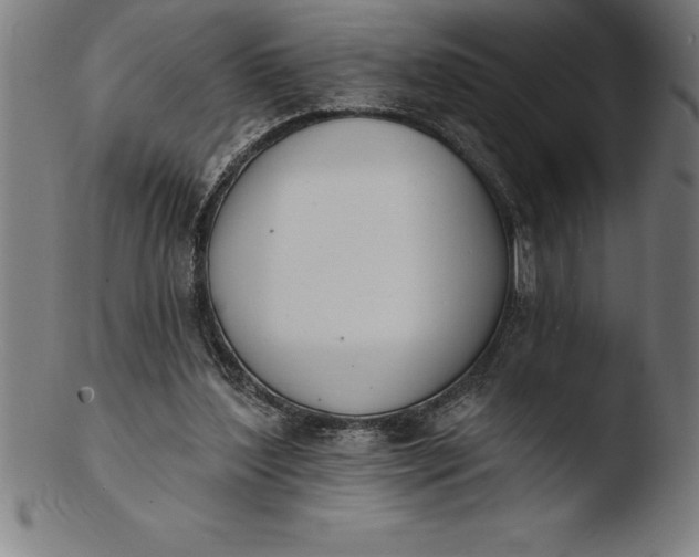 X0000103460204200809261848