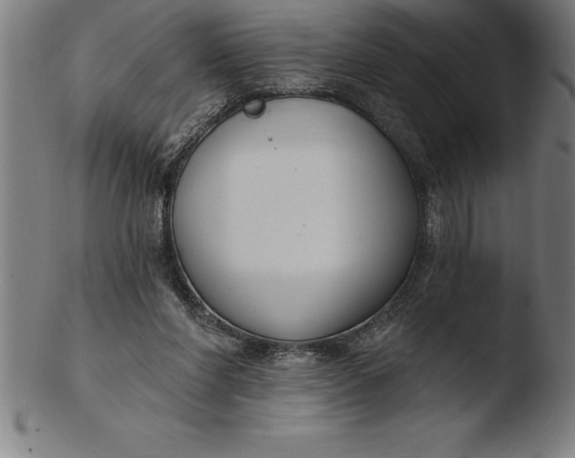 X0000103460206200809261848