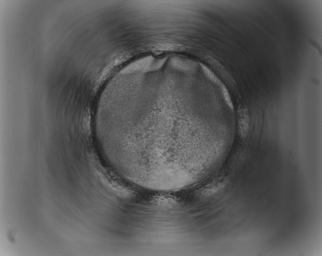 X0000103460207200809261848