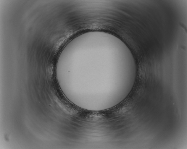 X0000103460208200809261848