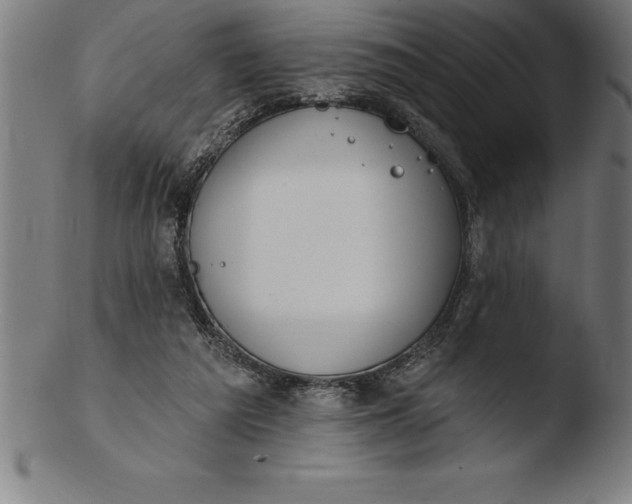 X0000103460209200809261848