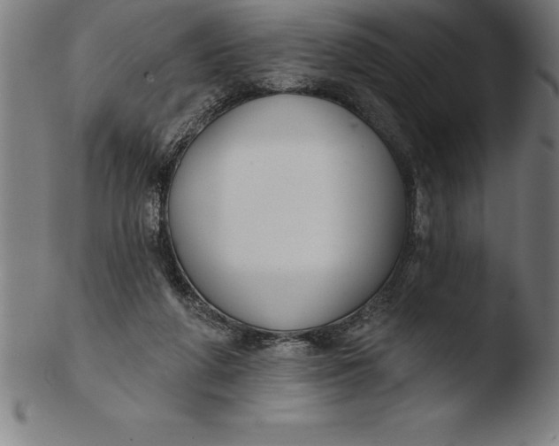 X0000103460210200809261848