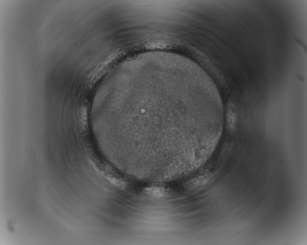 X0000103460211200809261848