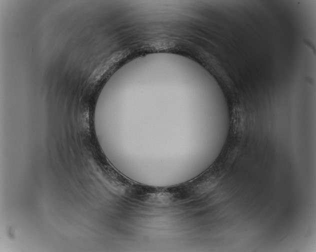 X0000103460212200809261848