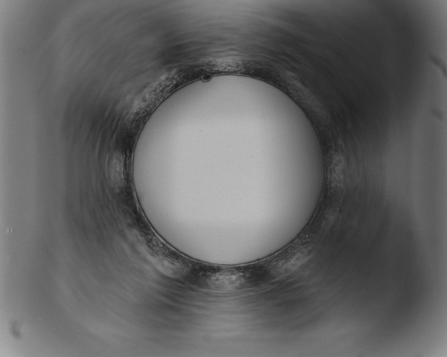 X0000103460213200809261848