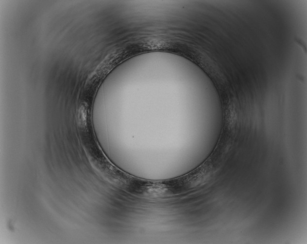 X0000103460214200809261848