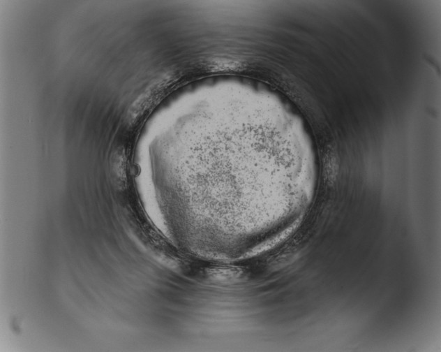 X0000103460215200809261848