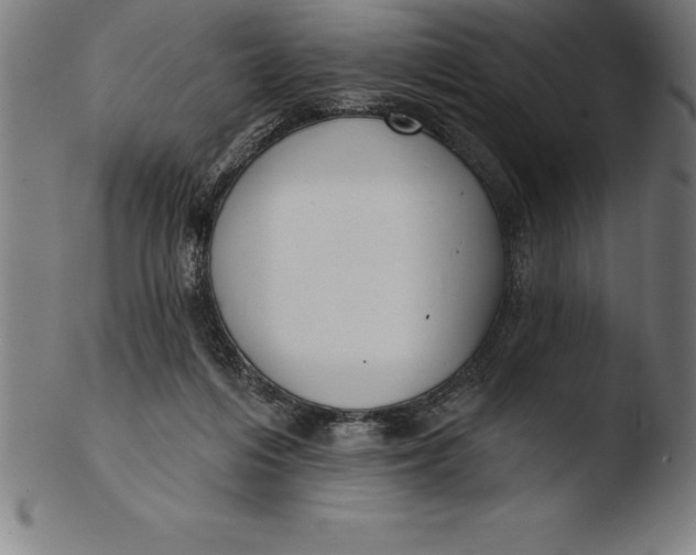 X0000103460216200809261848