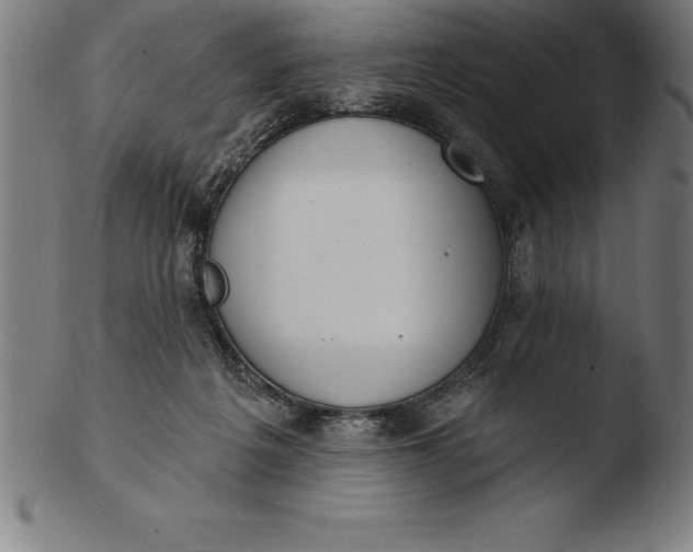 X0000103460217200809261848