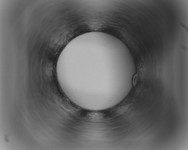 X0000103460221200809261848