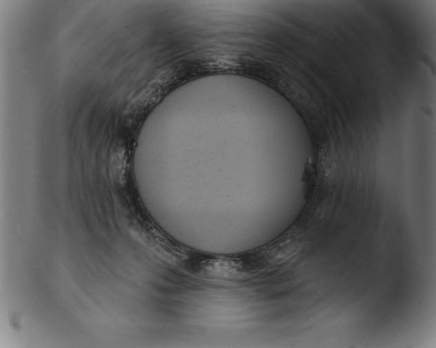 X0000103460223200809261848