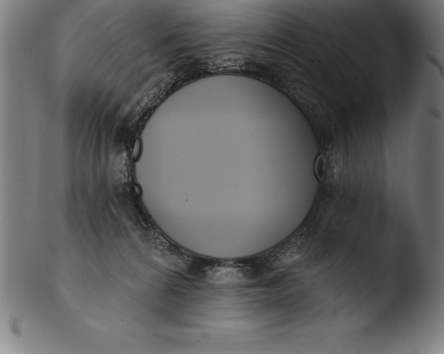 X0000103460224200809261848