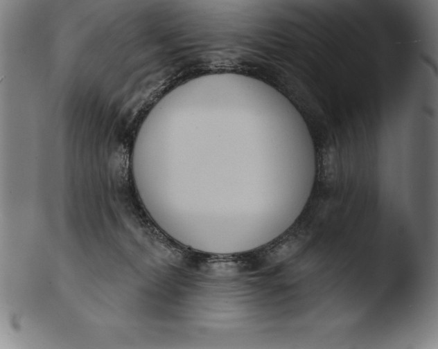 X0000103460228200809261848