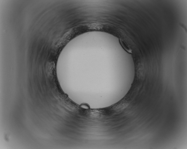 X0000103460229200809261848