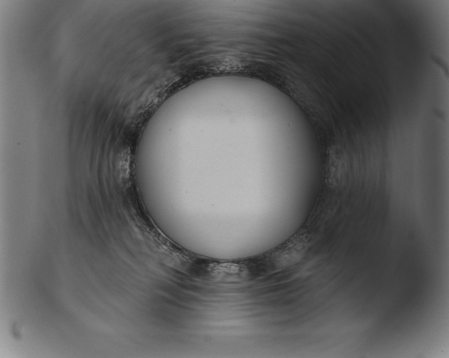 X0000103460230200809261848