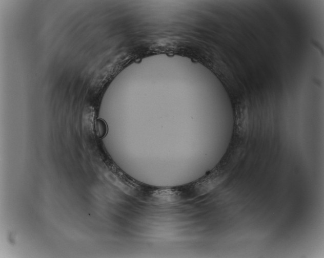 X0000103460231200809261848