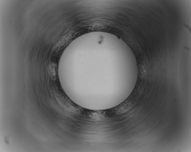 X0000103460232200809261848