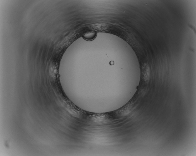 X0000103460235200809261848