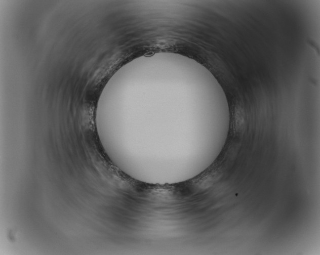 X0000103460236200809261848