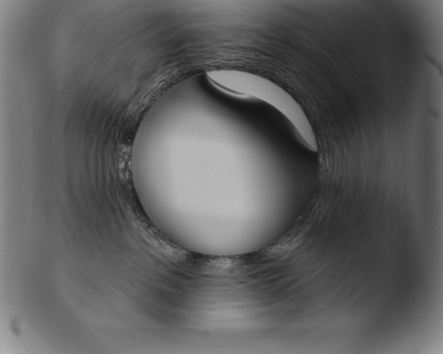 X0000103460237200809261848