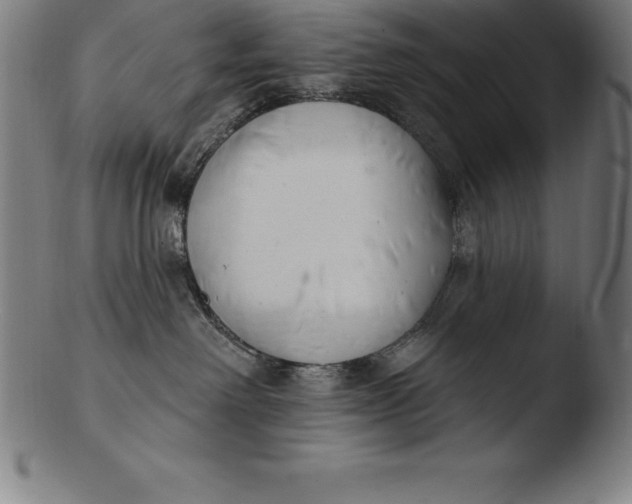 X0000103460238200809261848