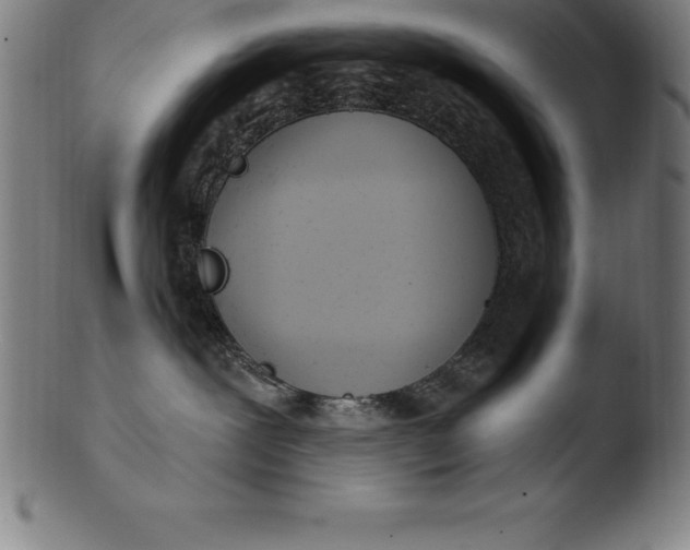 X0000103460239200809261848