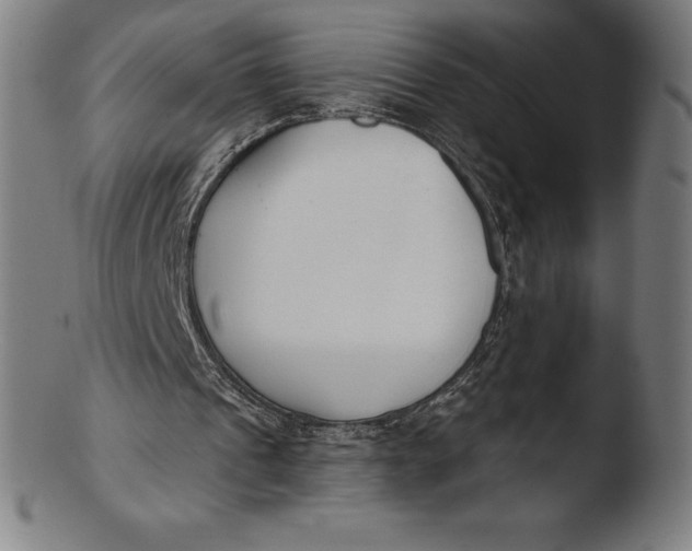 X0000103460241200809261847