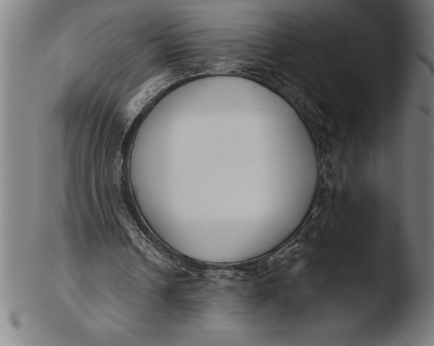 X0000103460242200809261847