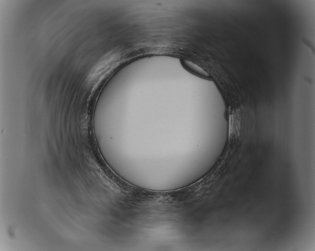 X0000103460243200809261847