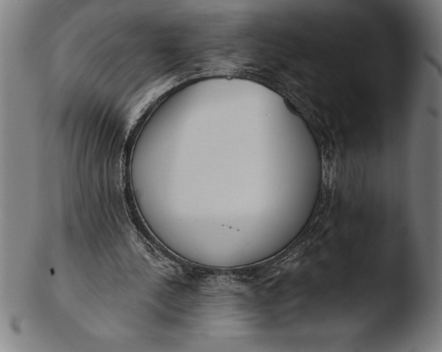 X0000103460244200809261847