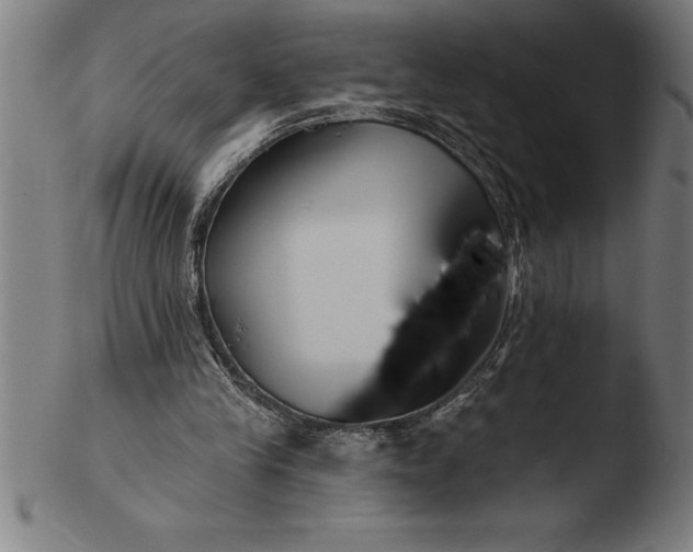 X0000103460245200809261847