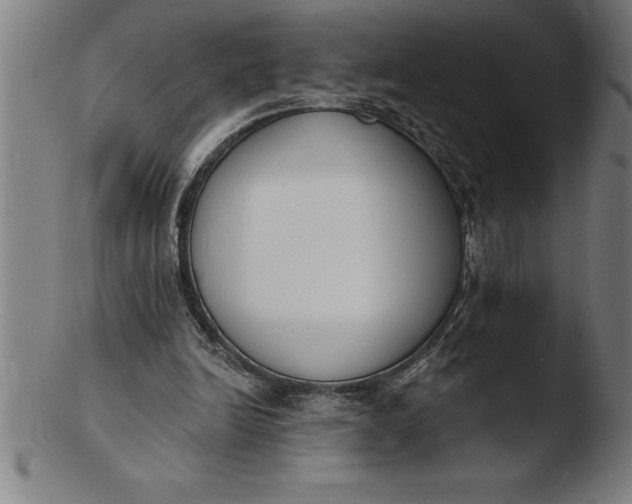 X0000103460246200809261847