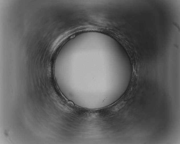 X0000103460247200809261847