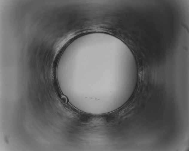 X0000103460248200809261847