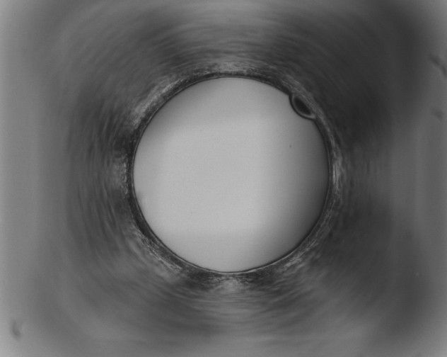 X0000103460249200809261847