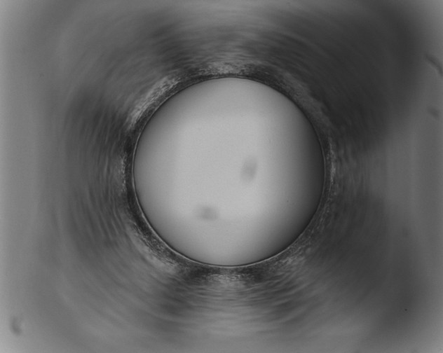 X0000103460250200809261847