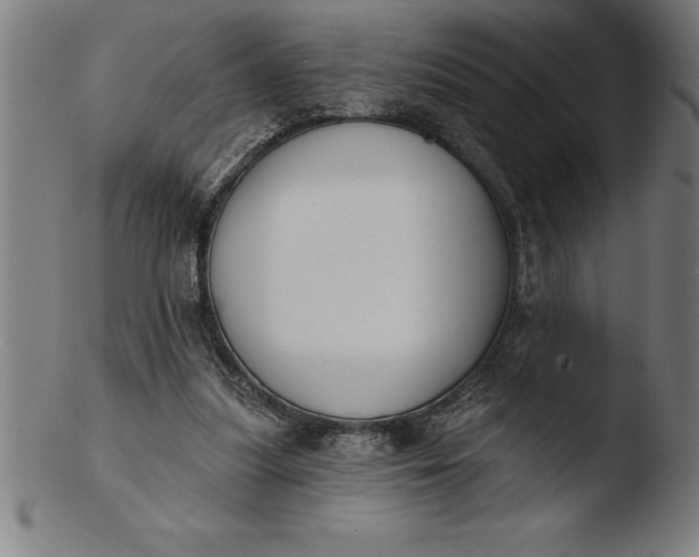 X0000103460251200809261847