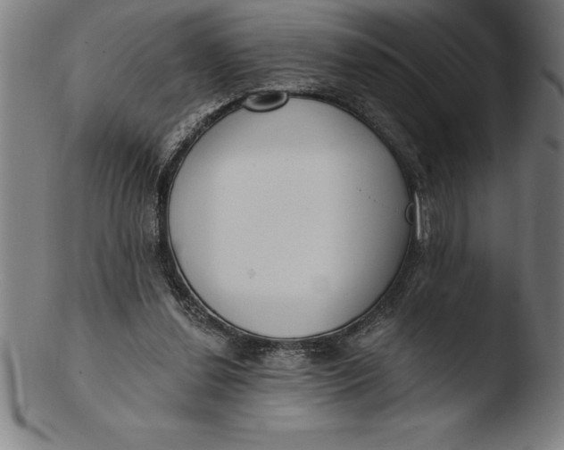 X0000103460252200809261847