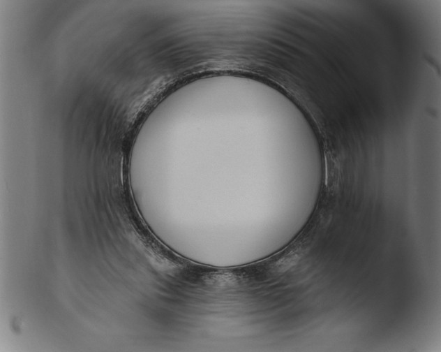 X0000103460253200809261847